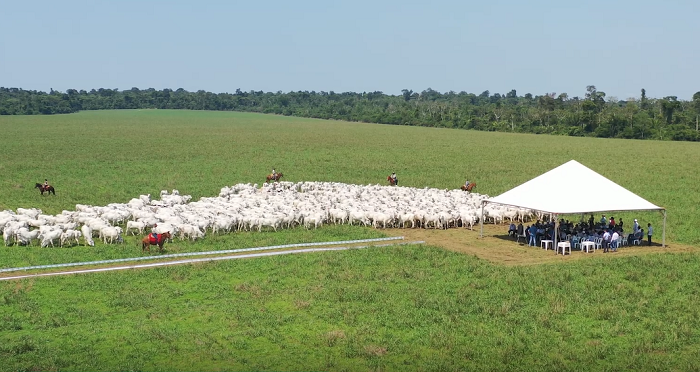 Planejamento do uso de pastagens de inverno deve começar antes do outono